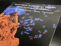 Telomere Abstract 